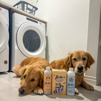 Pet Stain and Odour Remover