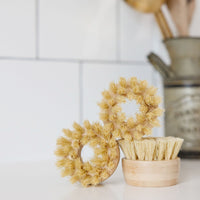 Bundle of 3 brush head replacements for Nellie's Dish Stick