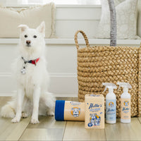 Pet Stain and Odour Remover