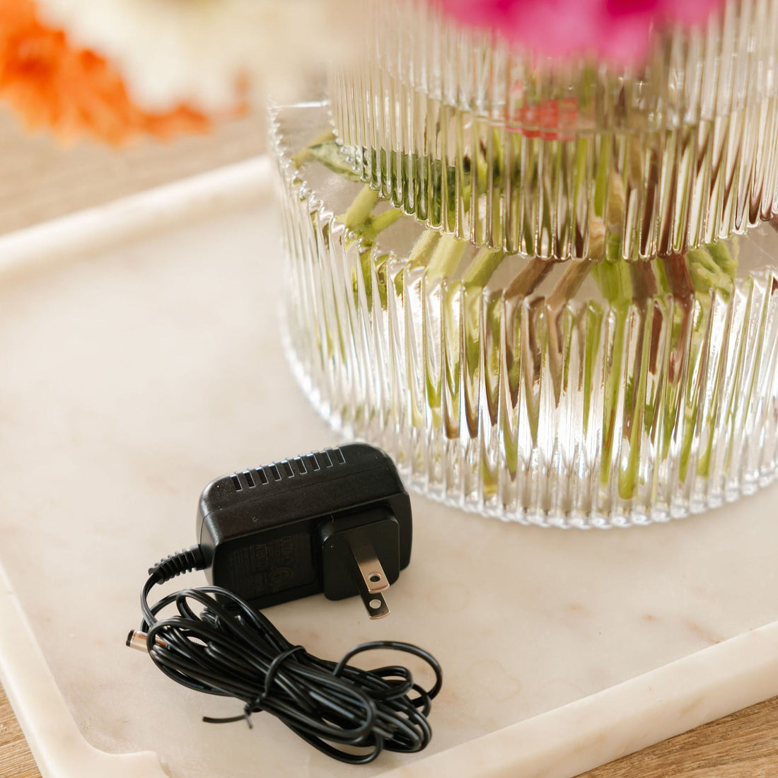 Charger for Nellie's WOW TOO mop