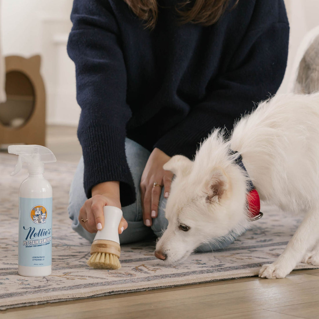Pet Stain and Odour Remover